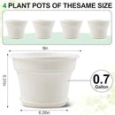 8 Inch Plastic-Flower Pot-for-Indoor Plants, 4 Pack Large Outdoor Planter Pot with Drainage Holes & Saucers, Resin Decorative Garden Pots Planters by CozyNest Decor