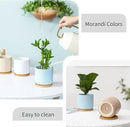 4 Inch Planters with Drainage Hole and Saucer, Small Ceramic Cylinder Plant Pot with Trays for Succulent, Aloe, Cactus & Herbs, Morandi Colors, Set of 4 by GreenHaven Gardens