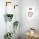2-Piece Set of Wavy Wooden Wall Planters for Indoor Plants 6 Inch - Natural Plant Hook for Wall Plant, Wind Chimes, Flower Brackets - Durable Bracket Plant Hanger (Bronze) by GreenHaven Gardens