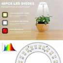 Grow Lights for Indoor Plants, Full Spectrum Halo Growing lamp with Detachable Base, Height Adjustable, 3 Colors, 10 Dimming, Automatic Timer, Plant Light for Succulents Small Plants by GreenHaven Gardens