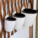 3 Packs 7.3" Plastic Self Watering Pots Wall Hanging Planters Wall Mounted Wicking Flower Pots for Indoor and Outdoor African Violet, Ocean Spider Plant, Orchid, White by GreenHaven Gardens