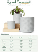 LE TAUCI Ceramic Plant Pots Indoor, 10+8+6 Inch Planters for Indoor Plants, Raised Dots Flower Pots with Drainage Hole and Plug, Cylinder Round Planters, Set of 3, Glaze Star Gray by GreenHaven Gardens