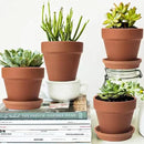 6 PCS Clay pots and Plates, 5-inch red Clay pots with Drainage, Perfect for Indoor, windowsill, and Garden Plants by GreenHaven Gardens