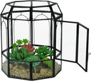 Ferrisland Glass Terrarium Plants with Lid, Black Geometric Terrarium Jar for Succulent Air Carnivorous Plant Moss Snail, Birdcage Shape Tabletop Greenhouse Indoor Decor DIY Presents (Only Terrarium) by GreenHaven Gardens