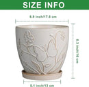 6 Inch Ceramic Plant Pot for Indoor Plants Outdoor Round Planter Flower Pot with Drainage Hole and Saucer for Home Garden Office Decor White by GreenHaven Gardens