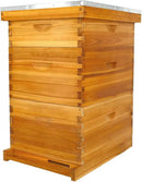 POLLIBEE 10 Frame Langstroth Beehive, Beeswax Coated Bee Hives for Bee Keeper,Beehive Include 2 Deep Bee Boxes and 1 Medium Bee Hive Box with Frame and Foundation(Unassembled) by GreenHaven Gardens