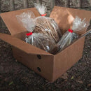 Ultimate Hosta Garden Collection 6-Pack of Bare Roots Hardy Mixed Heart-Shaped Hosta - Rich Green Foliage, Low Maintenance, Heart Shaped Leaves Great Perennials - 1000'S Sold by GreenHaven Gardens