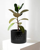 LaDoVita Ceramic Plant Pot with Stand, 10 Inch Planter with Wood Shelf, Modern Round Flower Pots Indoor with Wood Planter Holder, Black Water Ripple Pattern by GreenHaven Gardens