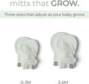Goumi Baby Mitts, Anti-Scratch Newborn Mittens, Soft Stay-On Mitts, Succulent 3-6 Months by TinyTreasures Baby Boutique