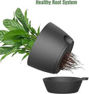 WOUSIWER 10 inch Self Watering Planters, 2 Pack Large Plastic Plant Pots with Deep Reservior and High Drainage Holes for Indoor Outdoor Plants and Flowers, Black by GreenHaven Gardens