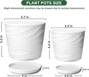 6.7 + 5.5 Inch Plant Pot, Ceramic Planter with Drainage and Saucer，Ceramic Pots for Plants, Indoor Plant pots，Succulent Orchid Flower Pot(Pure White) by GreenHaven Gardens