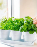 vensovo Indoor Herb Planter Set - Galvanized Windowsill Garden Pots with Tray & Drainage, Set of 3 Metal Window Planters for Kitchen & Outdoor Use, White by GreenHaven Gardens