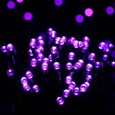 Toodour Solar Christmas Lights Outdoor, 200 LED 8 Modes Christmas String Lights, Waterproof Solar Light String for Garden, Patio, Fence, Holiday, Party, Balcony, Outdoor Christmas Decorations - Purple by GreenHaven Gardens