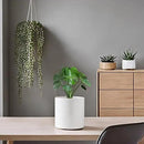 Docrin Ceramic Planters Indoor: 8 Inch Plant Pots with Drainage Holes for Home/Office - White Honeycomb by GreenHaven Gardens