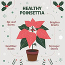 Poinsettia Plant Fertilizer - 3-1-2 NPK - Organic Liquid Plant Food for Christmas Flowers and Trees - 32oz Concentrate by GreenHaven Gardens