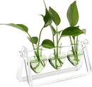 Plant Terrarium Propagation Stations with Wooden Stand Birthday Gifts for Women Plant Stand Indoor Office Home Decor by GreenHaven Gardens