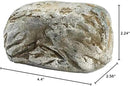 Hide-A-Key Fake Rock Security Safe Storage,Looks and Feels Like a Real Rock Spare Key,Safely Hiking Your Spare Key Outdoor,Yard or Garden Diversion Safes,Outdoor Statue. by GreenHaven Gardens