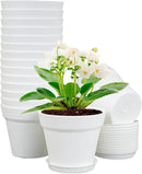 6 inch Small Plastic Nursery Pots, Seedling Pots, 16 Pack Plant Pots for Indoor Outdoor Plants, Flower Pots with Drainage Holes and Saucers, Decorative Planters for House Plants, White by GreenHaven Gardens