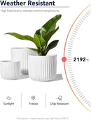 LE TAUCI Ceramic Planters, Set of 3 Plant Pots for Indoor Plants, 8.3+6.9+5.7 inch Flower Pots with Drainage Holes, Medium Cylinder Planters Pot for Indoor House Plants, White by GreenHaven Gardens