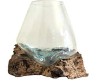 Hand Blown Molten Glass & Teak Wood Terrarium/Vase/Fish Bowl - Premium Quality (10" - 12" High) by CozyNest Decor