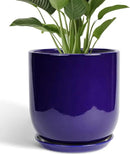 Ceramic Planter - 12 Inch Pots for Plants Ceramic Plant Pot Indoor with Drainage Hole and Saucer Large Planter Flower Pot Outdoor for Home Garden Decor Blue by GreenHaven Gardens