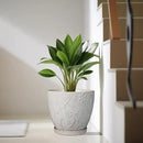 10 Inch Plant Pot Ceramic Planter Pot with Drainage Hole and Saucer Round Planter Large Flower Pot for Indoor Outdoor Plants Home Garden Decor White by CozyNest Decor