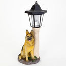 Bits and Pieces-Solar Shepherd Lantern-Solar Powered Garden Lantern - Resin Dog Sculpture with LED Light by GreenHaven Gardens