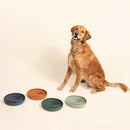 The Slowdown Bowl Silicone Slow Feeder for Dogs & Puppies, Slow Eating, Modern Lick Mat Design, Reduces Gulping, Fits 2.5 Cups 9.5” Across x 1.5” Tall, Mealtime Challenge, Large-Blush by CozyNest Decor
