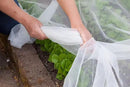 Agfabric Garden Netting 10'x30' Insect Pest Barrier Bird Netting for Garden Protection,Row Cover Mesh Netting for Vegetables Fruit Trees and Plants,White by GreenHaven Gardens