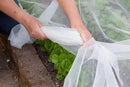 Agfabric Garden Netting 8'x30' Insect Pest Barrier Bird Netting for Garden Protection,Row Cover Mesh Netting for Vegetables Fruit Trees and Plants,White by GreenHaven Gardens