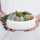 MyGift 8 Inch Round Modern Artificial Succulent Arrangement Potted in White Concrete Plant Bowl, Assorted Faux Mini Succulents in a Decorative Planter Pot by CozyNest Decor