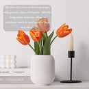 Ceramic Vase Set of 3, Decorative Vases Home Decor Modern Minimalist Pottery Vases for Bouquet Pampas Grass Dried Fresh Flowers, Bookshelf, Living Room, Shelf, Bedroom, Entryway Mantel Decor-White by CozyNest Decor