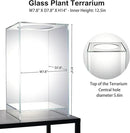 Desktop Glass Plant Terrarium with Grow Light(L7.8 W7.8 H14), for Succulent, Moss, Miniature Gardening Landscape, Betta Fish Tank, Indoor Plant Growth, Office Home Decoration (TimeControlled) by GreenHaven Gardens