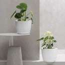 12/10/9 Large Modern Plant Pots, Plastic Planters with Drainage Holes and Saucers for Indoor Outdoor Plants Flowers, White by GreenHaven Gardens