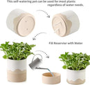 Nihow Self Watering Plant Pot: 6 Inch Ceramic Planter with Drainage Hole & Water Storage Plus for Indoor & Outdoor Plants - Cylinder Round Flower Pot for Succulent/Herbs/Violets - White & Nature by GreenHaven Gardens