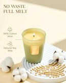 M&SENSE Eucalyptus Cedarwood Scented Natural Soy Wax Candle, 14.1oz 60 Hours Long Lasting Slow Burning Candles for Home Decor, Aromatherapy Candle for Stress Relief by CozyNest Decor