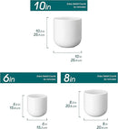 vancasso 6+8+10 inches Ceramic Plant Pots, Set of 3, Planters with Drainage Hole, Flower Pots Planters Pots for Indoor Plants, Modern Indoor Decorative Garden Pot, Home Decor, White by GreenHaven Gardens