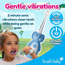brush-baby WildOnes Kids Electric Rechargeable Toothbrush Elephant, 1 Handle, 3 Brush Heads, USB Charging Cable, for Ages 0-10 (Elephant) by TinyTreasures Baby Boutique