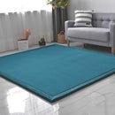 Loartee Nursery Rug Coral Velvet Crawling Rugs Mat Area Rugs Play Crawling Mat(6'8"x9'2", Blue) for Toddler Children Play Mat Yoga Mat Exercise Pads Carpet by TinyTreasures Baby Boutique