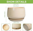 G EPGardening Ceramic Plant Pots - 9 Inch Round Planter, Ceramic Flower Pots with Drainage and Saucer, Modern Indoor Outdoor Planter, Room Decor, Home Gifts, Beige by GreenHaven Gardens