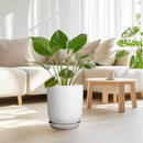 Pots for Plants - 10 Inch Ceramic Plant Pot with Drainage Hole and Saucer Large Planter for Plants Indoor Outdoor Modern Flower Pot for Home Decor White by GreenHaven Gardens