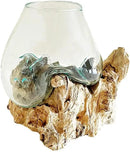 Hand Blown Molten Glass & Teak Wood Terrarium/Vase/Fish Bowl - Premium Quality (12" - 14" High) by CozyNest Decor