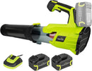 SnapFresh Cordless Leaf Blower - 550CFM Electric Leaf Blower Cordless with 2 x 4.0 Ah Battery and Fast Charger - 20V Lightweight Leaf Blower for Yard and Garden, Battery Operated Blower for Lawn Care by GreenHaven Gardens