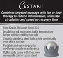 Cestari Stainless Steel Ice Hot Cold Roller for Pain Relief, Foot Massage Ball with Silicone Holder, HSA Muscle Roller, Gray by CozyNest Decor