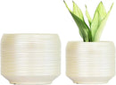 8 Inch + 6 Inch Ceramic Plant Pots Indoor with Drainage – Flower Pot Set, Decorative Indoor Planters for House Plants and Garden Use by CozyNest Decor