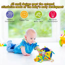 8-in-1 Sensory Balls for Infant Toddlers,Rainbow Fabric Baby Toy for Sensory Development,Montessori Toys for Babies 6-12 Months,8 Different Sensory Tactile Textures with Crinkle Rattle Squeakers by TinyTreasures Baby Boutique