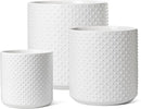 LE TAUCI 6+8+10 Inch Plant Pots Indoor, Ceramic Planter Pots for Plants, Raised Dots Flower Pots Indoor for Home and Office, Mid-Modern Century Pots Indoor with Drainage Hole and Silicone Plug, White by GreenHaven Gardens