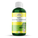 Organic Premium Seaweed Fertilizer for All Bonsai - Liquid Kelp Plant Food - Nutrient-Rich Liquid Plant Food & Soil Enhancer for Growth Control (16 OZ) by GreenHaven Gardens