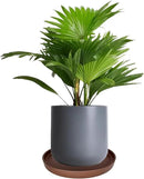 Ceramic Plant Saucer Pot Tray 12 Inch, Planter Saucers 4 5 6 7 8 9 10 11 12 13 Inch for Indoors Outdoor, Durable Sturdy Flower Drainage drip Water Tray for Glazed Pots Base (12.7 Inch-Brown) by GreenHaven Gardens