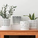 Ton Sin Plant Pots,5.5 Inch White Pots for Indoor Plants with Drainage Holes,Cylinder Flower Pot Ceramic Planters with Saucer,Cactus Succulent Outdoor Garden Pots Set of 4 by GreenHaven Gardens